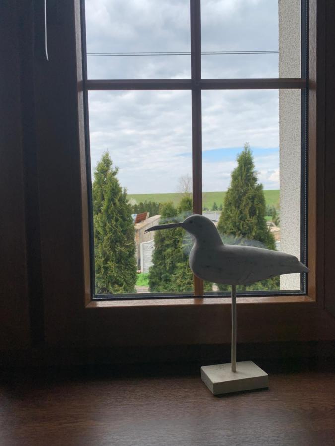 Pokoje gościnne Ścibórz Exterior foto